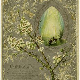 Christmas Wish