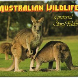 Australian Wildlife - a pictorial Story Folder