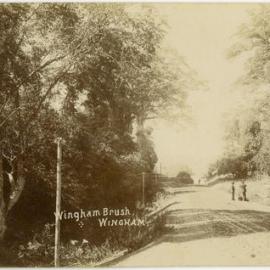 Wingham Bush