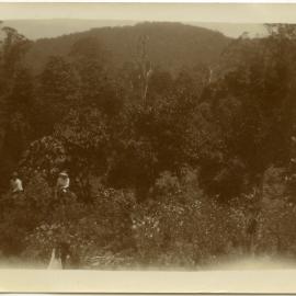 Photo of two riders through unidentified bushland