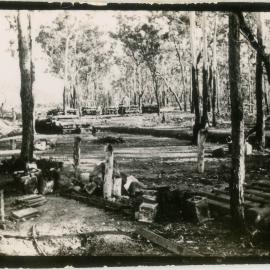 Photo of wooded clearing