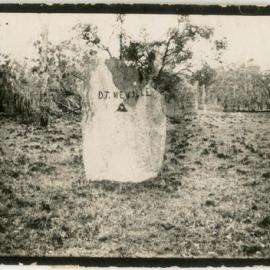 Slab with D.T. Neville written on it. "Magnetic ant hill"