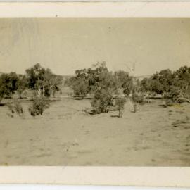 Scrub desert, location unknown.