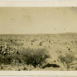 Scrub desert, location unknown.