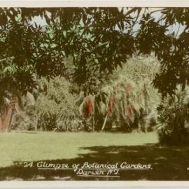 24. Glimpse of Botanical Gardens, Darwin