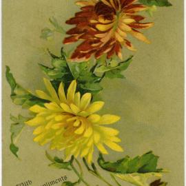 Flowers from Nicholson & Co.