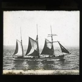Jones Brothers, 31 August 1905