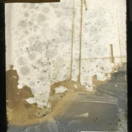 "Bell Flower", Newcastle, NSW, 9 July 1904