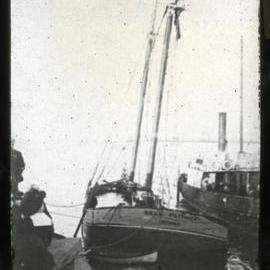 "Bell Flower", Newcastle, NSW, 9 July 1904 