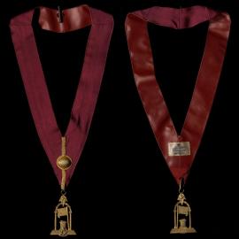 Red collar with gold detail and gold pendant