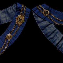 Collar chain, 'City Warden', Royal Antediluvian Order of Buffaloes, (GLE)