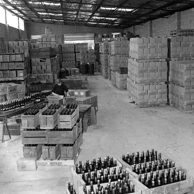 Wines and Vines