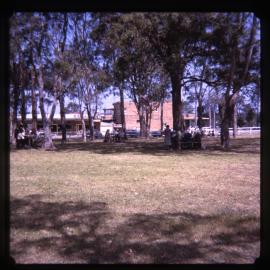 Pensioners Day at park, Warners Bay, NSW, 1964