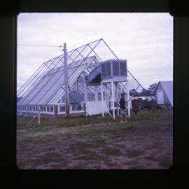 Glasshouse for cuttings, Dalwood, NSW, 1974