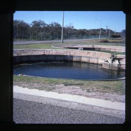 Port Stephens Fish Research Station prawn fattening ponds, NSW, 1975