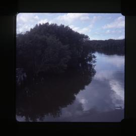 Another old Ironbark Creek bridge, Hexham, NSW, 1977