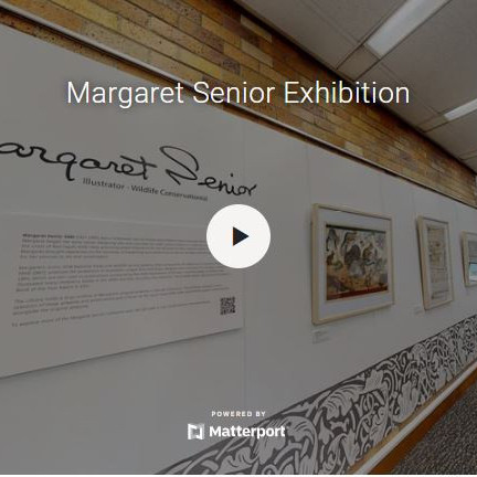 Margaret Senior Exhibition, Auchmuty Library, 2023
