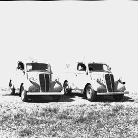 Klosters, two vintage cars parked on grass, NSW, 1958