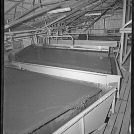 J and A Brown washery plant and equipment, NSW, 1958