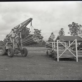 Tractor moving wooden logs, [Wyee State Mine], NSW, 1962