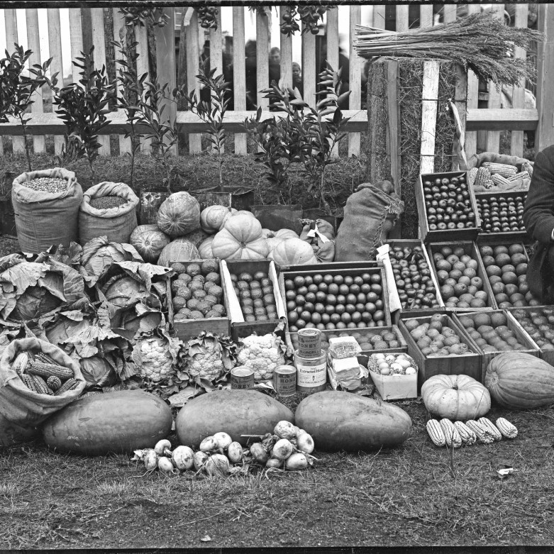 Home Grown in the Hunter