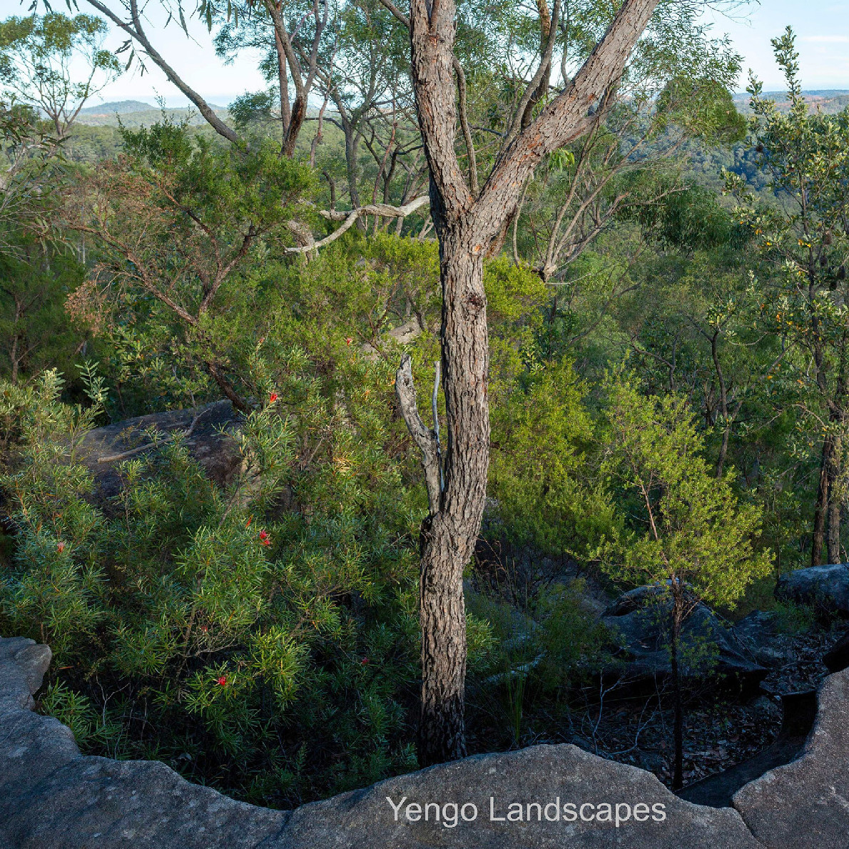 Yengo Landscapes