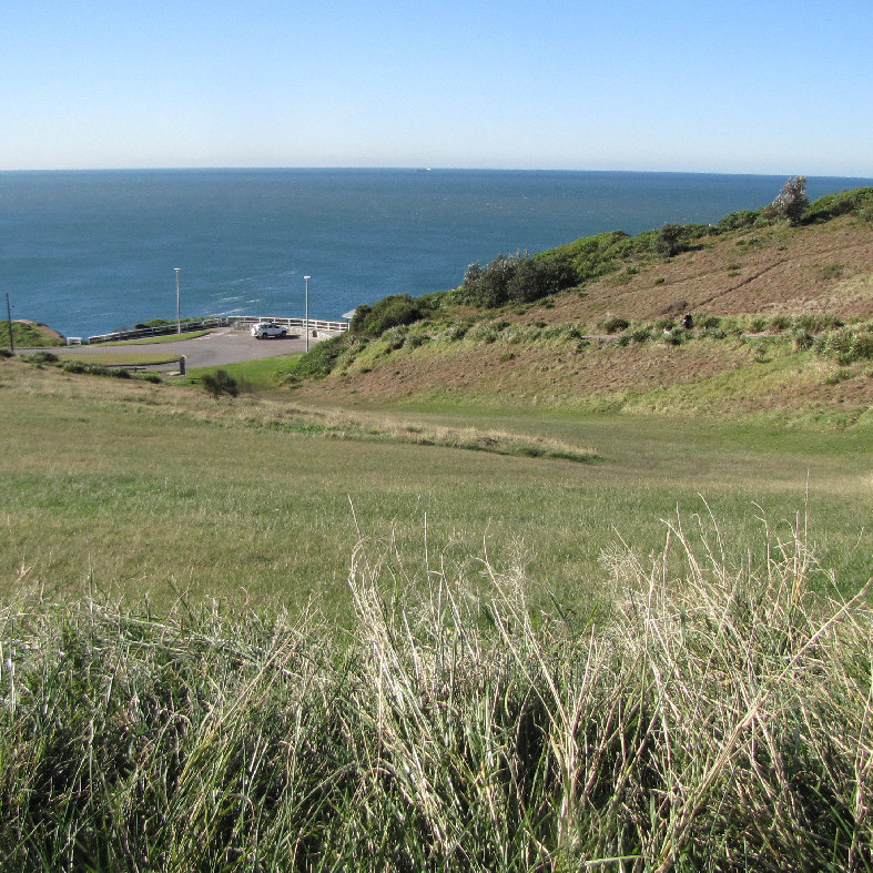 Grassed area above the Bogey Hole, Newcastle, NSW, 2012