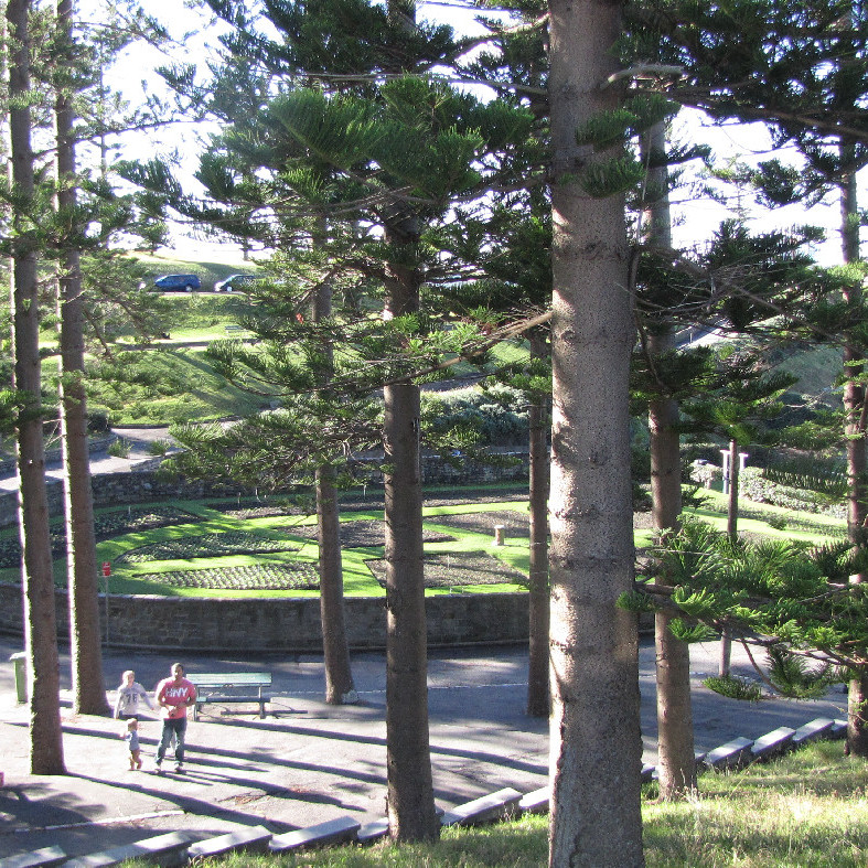 Trees in King Edward Park, Newcastle, NSW, 2012