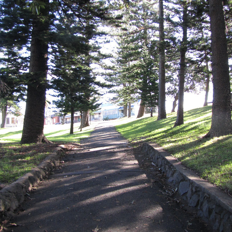 Walkway between trees, King Edward Park, Newcastle, NSW, 2012