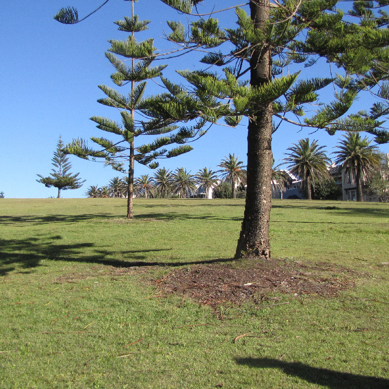 King Edward Park, Newcastle, NSW, 2012