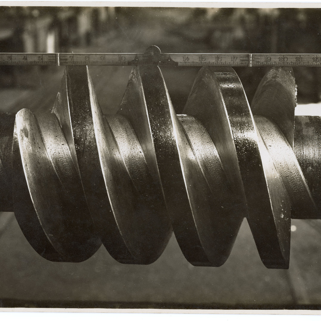 Large Worm-Cut in special Chrome Steel
