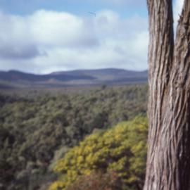 Coopers Creek, South Australia