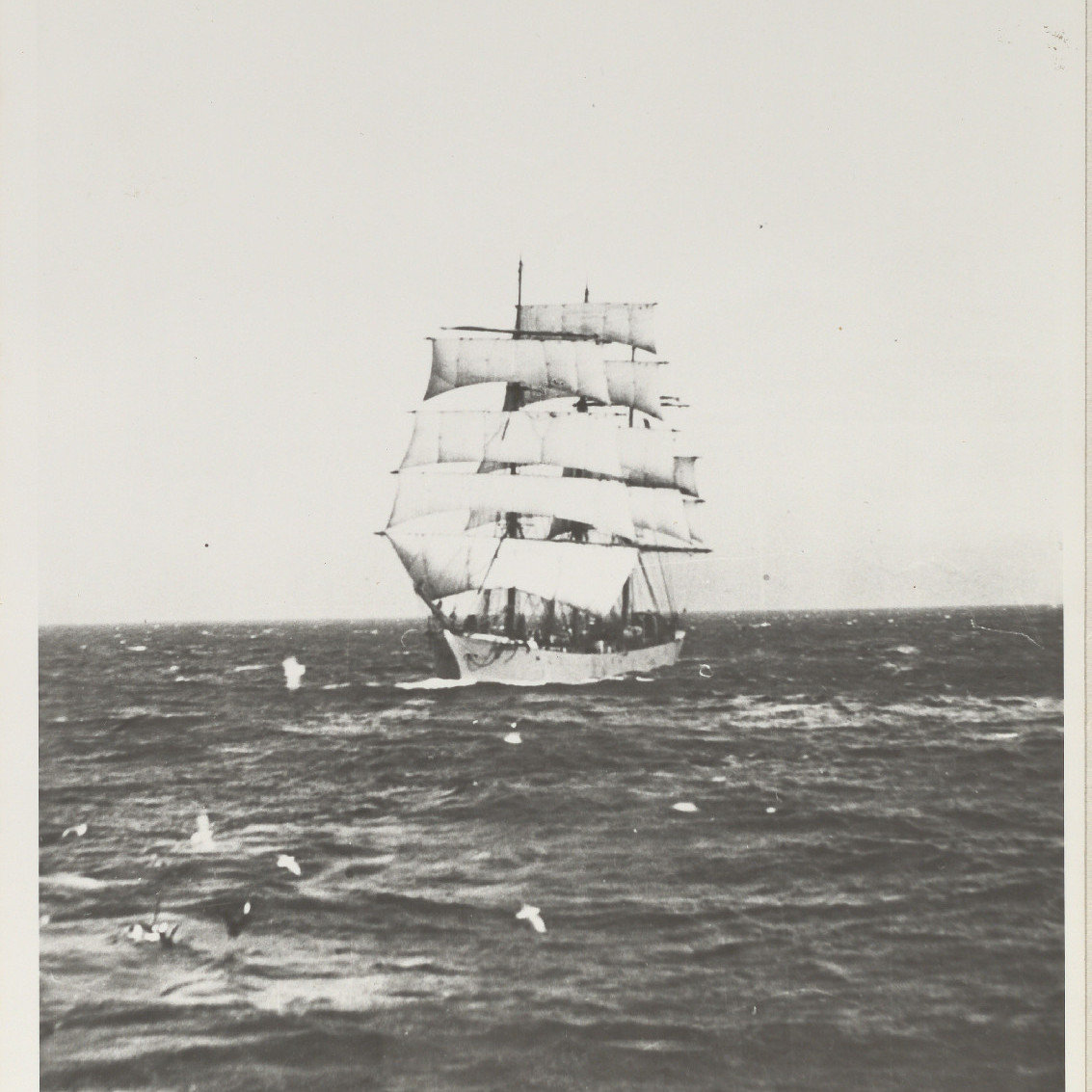 Unidentified Sailship off Newcastle