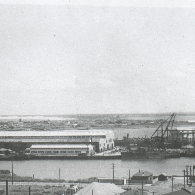 Newcastle State Dockyard as seen from the City