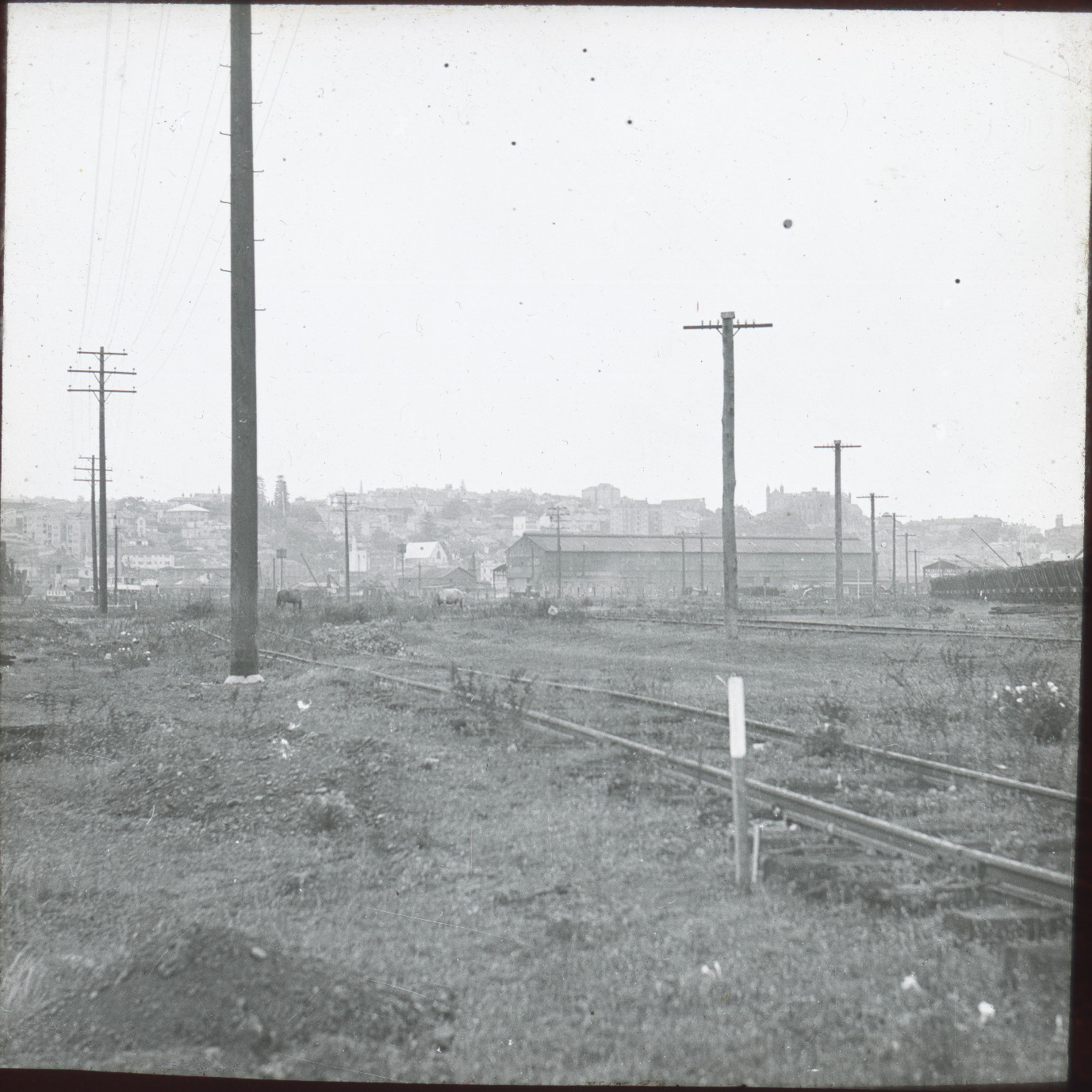 View of Rail Line near State Dockyard site Prior to Construction, January 1942 