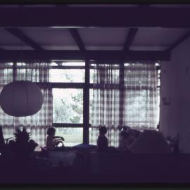 House in Belmont, NSW (August 1963)