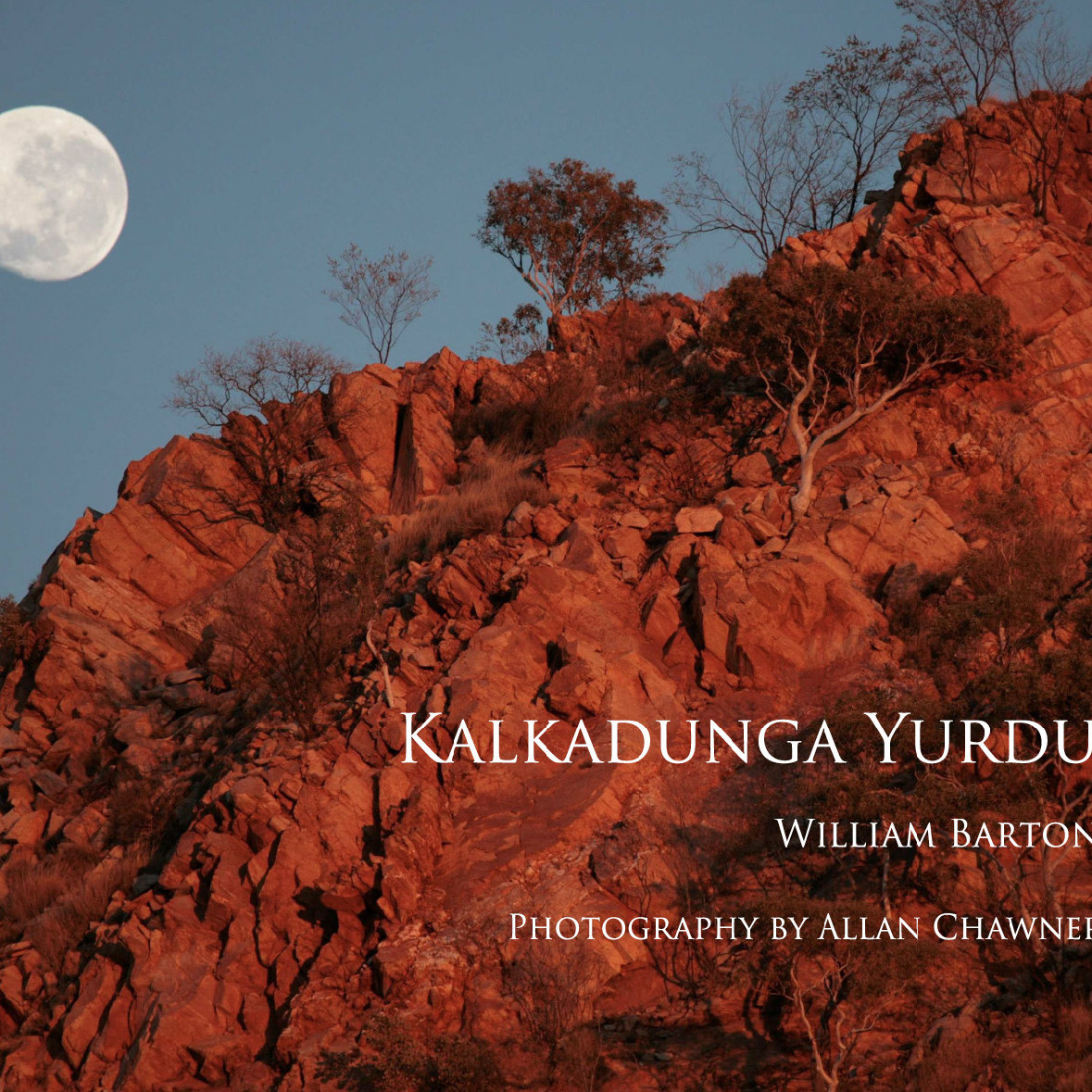 Kalkadunga Yurdu (Kalkadunga Man) (2010)