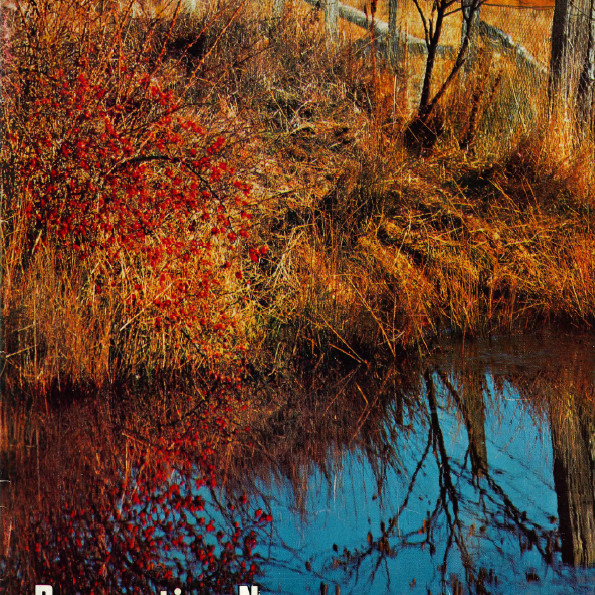 Recreation News: Magazine of the Stewarts and Lloyds Recreation Club, Autumn 1967