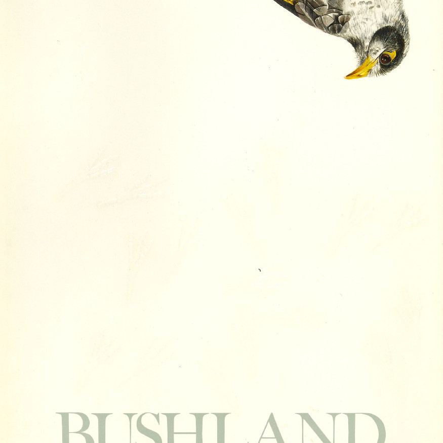 Bushland Campus : A Description of the Natural Ecology and the Human Development of the Grounds of the University of Newcastle