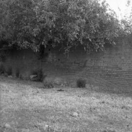 Brick wall - [part of Roseneath, East Maitland, NSW]