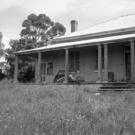 Wambo at Warkworth, November 28, 1981