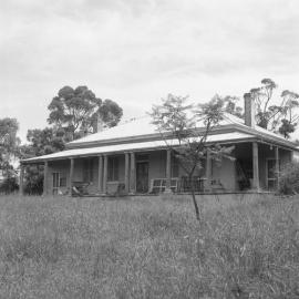 Wambo at Warkworth, November 28, 1981