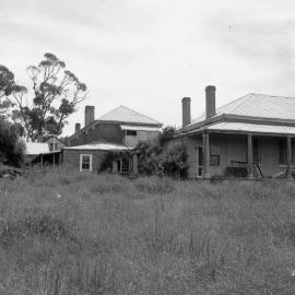 Wambo at Warkworth, November 28, 1981 - rear view
