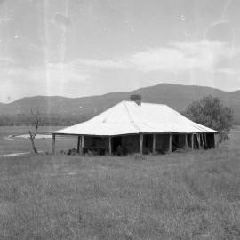 Wambo at Warkworth NSW, November 28, 1981