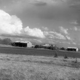 Farm scene at Largs, NSW