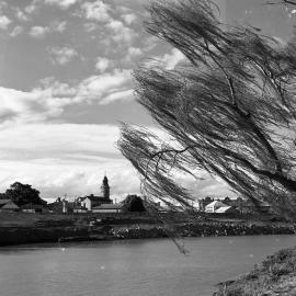 ‘The Wind in the Willows’ - Maitland Court House in the background