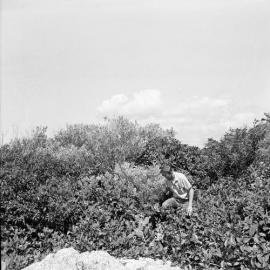 David Purchase and Warren Hitchcock (CSIRO) visit the island, 1967 - Keith Davey coming on to a rocky area from the undergrowth