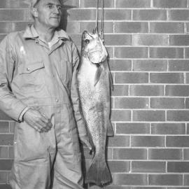 Athel D’Ombrain with a jewfish