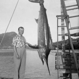 Dr Kelvin Croese with a 250lb black marlin