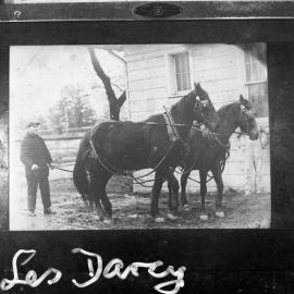 Les Darcy with draught horses (copy of a print from Cameron studios)